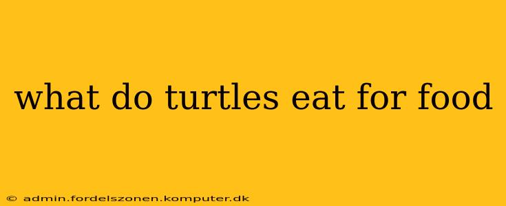 what do turtles eat for food