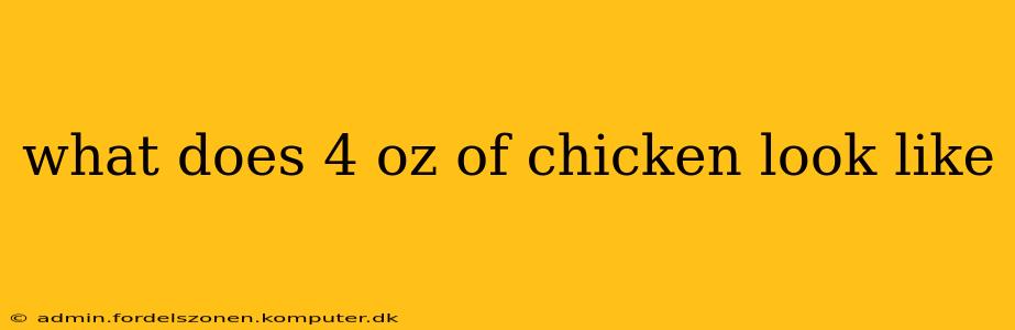 what does 4 oz of chicken look like