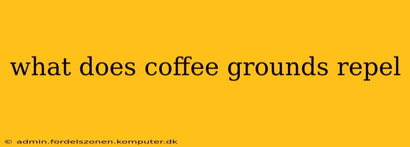 what does coffee grounds repel