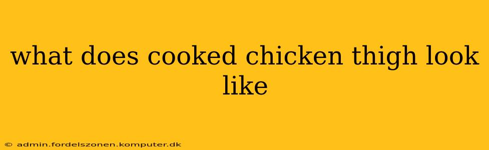 what does cooked chicken thigh look like