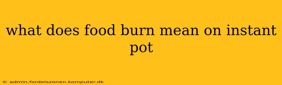 what does food burn mean on instant pot
