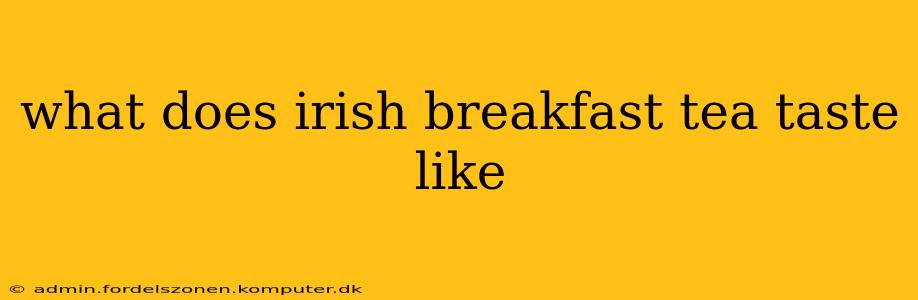 what does irish breakfast tea taste like