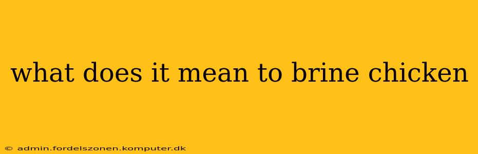 what does it mean to brine chicken