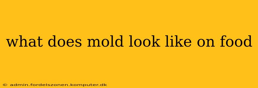 what does mold look like on food