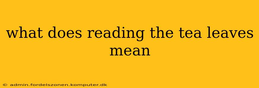 what does reading the tea leaves mean
