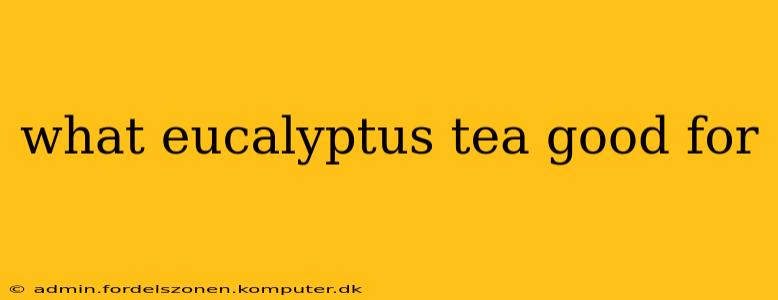 what eucalyptus tea good for