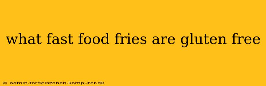 what fast food fries are gluten free