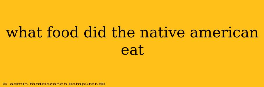 what food did the native american eat