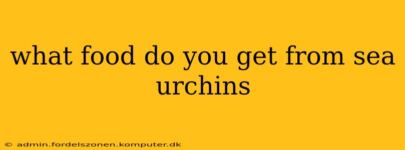 what food do you get from sea urchins
