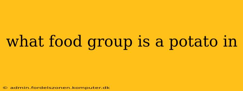 what food group is a potato in