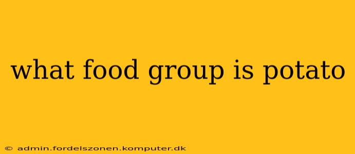 what food group is potato