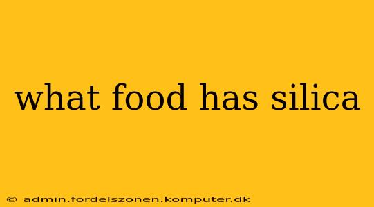what food has silica