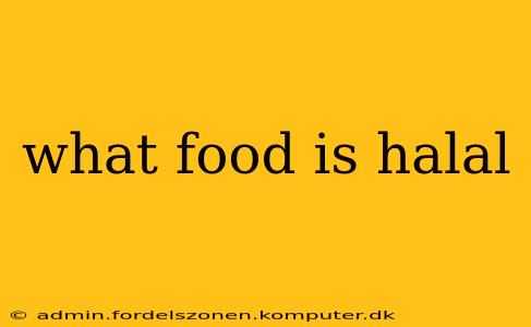what food is halal
