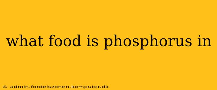 what food is phosphorus in