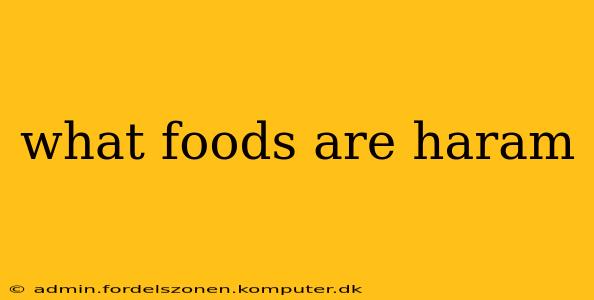 what foods are haram