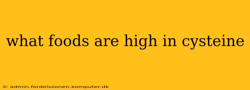 what foods are high in cysteine