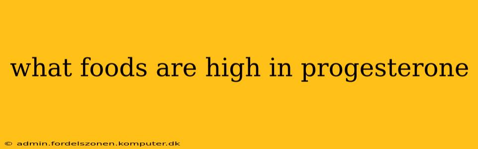 what foods are high in progesterone