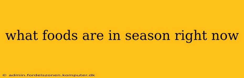 what foods are in season right now