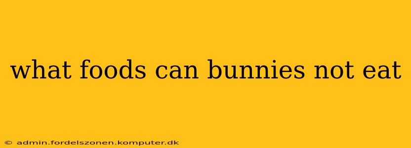 what foods can bunnies not eat