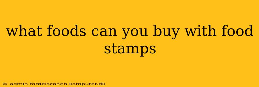 what foods can you buy with food stamps