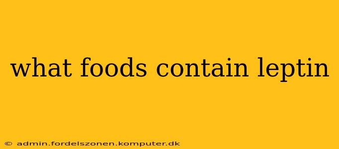 what foods contain leptin