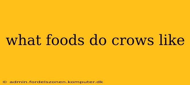 what foods do crows like