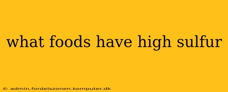 what foods have high sulfur