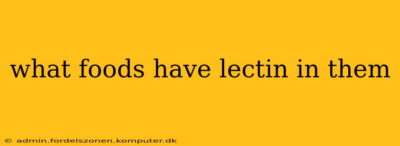 what foods have lectin in them