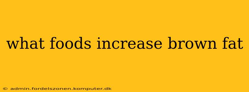 what foods increase brown fat
