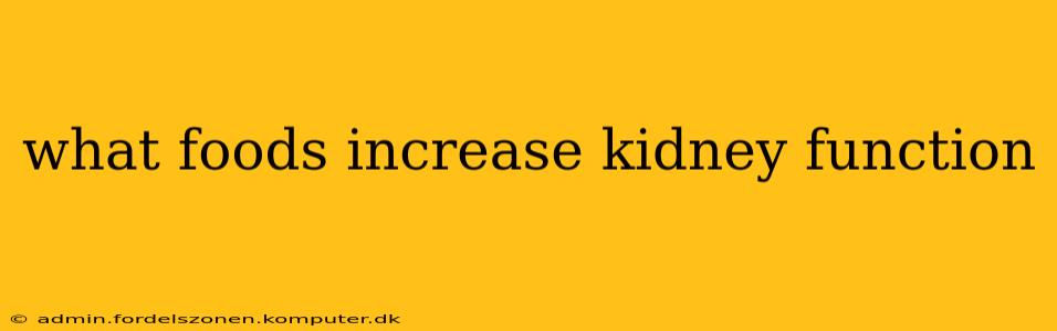 what foods increase kidney function