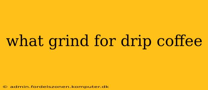 what grind for drip coffee
