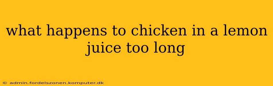 what happens to chicken in a lemon juice too long