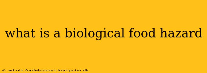 what is a biological food hazard