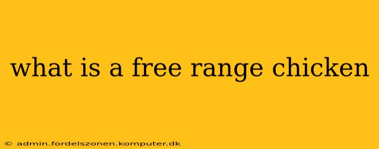 what is a free range chicken