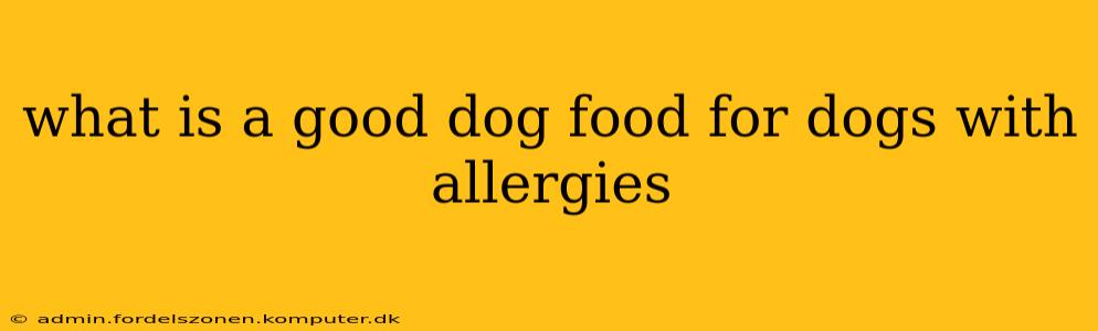what is a good dog food for dogs with allergies