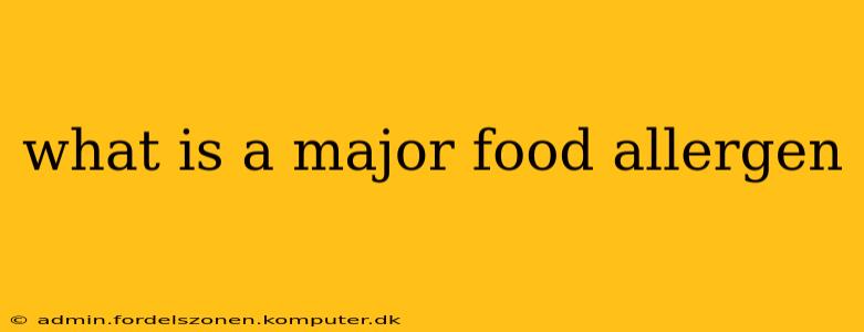 what is a major food allergen