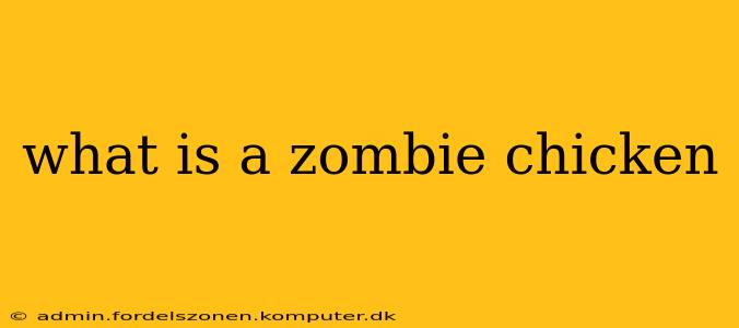 what is a zombie chicken