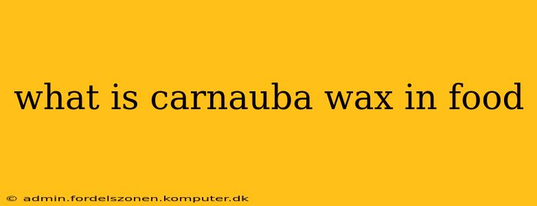 what is carnauba wax in food
