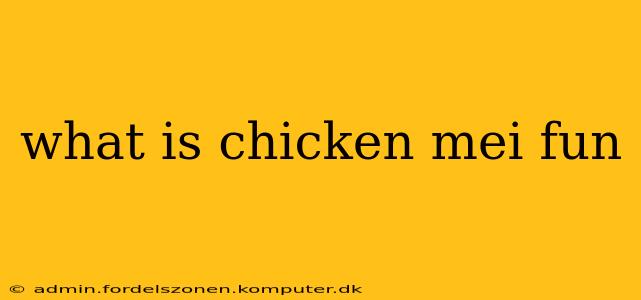 what is chicken mei fun