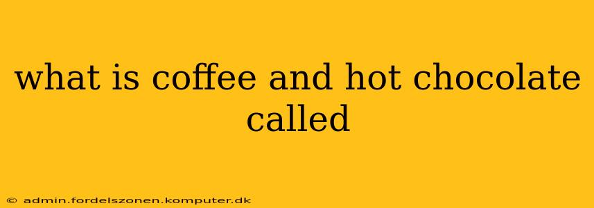 what is coffee and hot chocolate called