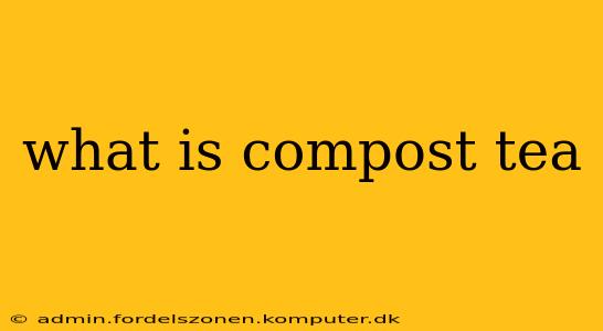 what is compost tea