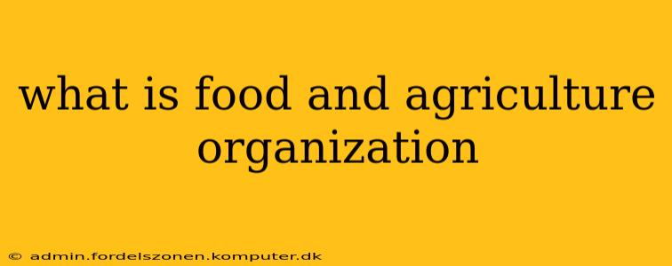 what is food and agriculture organization