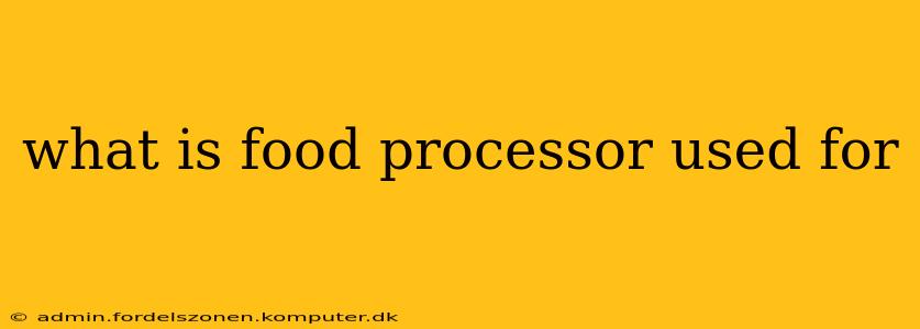 what is food processor used for