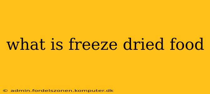 what is freeze dried food