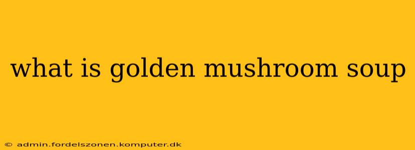 what is golden mushroom soup