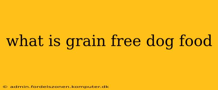 what is grain free dog food