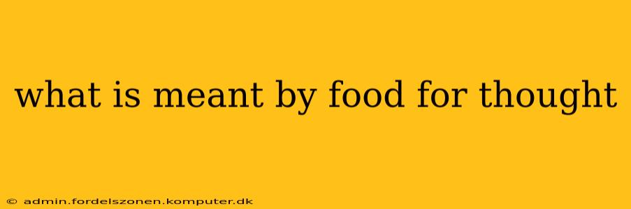 what is meant by food for thought