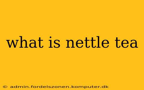 what is nettle tea