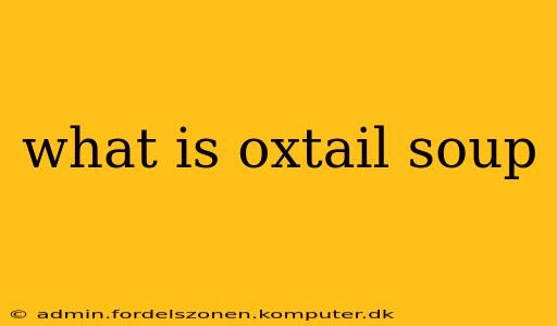 what is oxtail soup