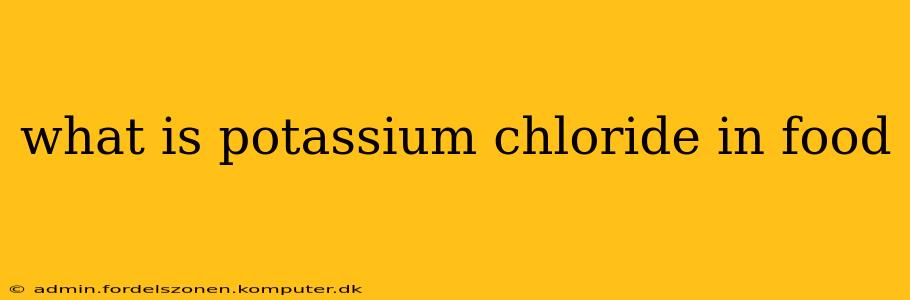 what is potassium chloride in food